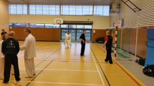 hunggarnancy-artsmartiaux-wushu-kungfu-passage-duan-19decembre2015-3  